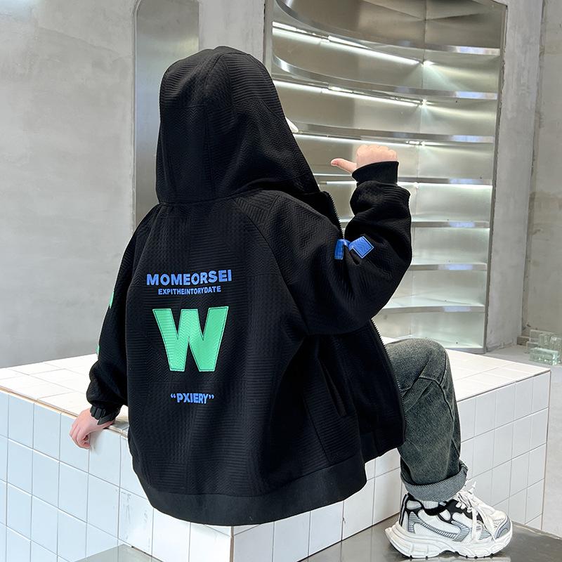 Boys' Hooded Sweatshirt 2025: Spring & Autumn Fashion for Kids