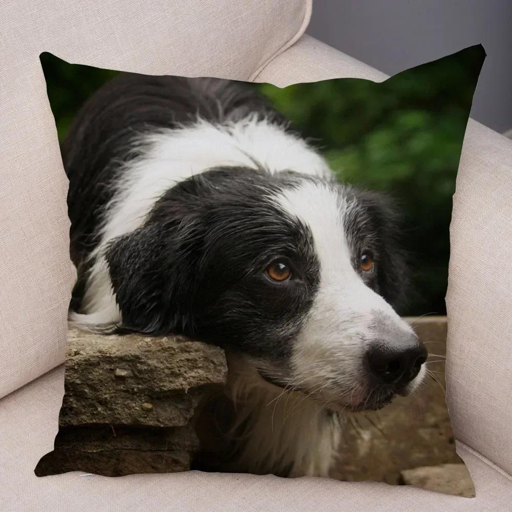 Cute Scottish Border Collie Pillowcase Dog Print Decor Pet Animal Cushion Cover Sofa