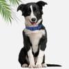 Waterproof PVC Dog Collar Soft Plastic Rubber Puppy Collar with Safety Buckle Adjustable Pet Collars for Small Medium Large Dogs