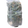 Drawstring Insect Protection Net Bag for Trees, Flowers & Fruit - Bird & Insect Barrier Cover