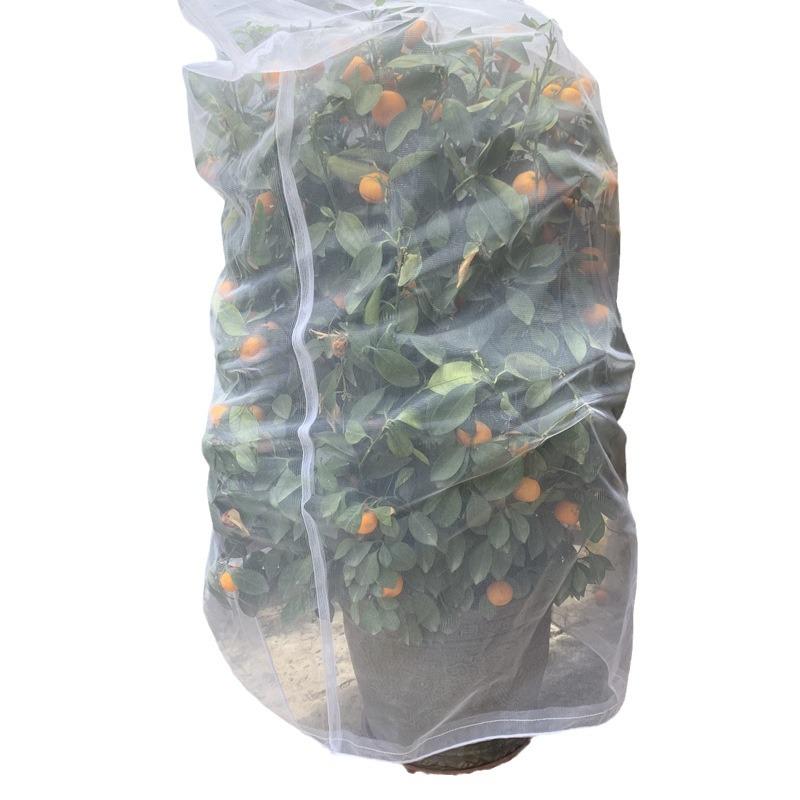 Drawstring Insect Protection Net Bag for Trees, Flowers & Fruit - Bird & Insect Barrier Cover