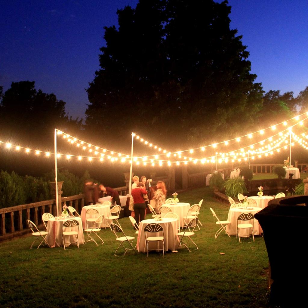 50FT ST38 LED Globe String Lights 12 Bulbs 2700K Warm White E12 High Voltage Black Cable with Hooks Replaceable Line