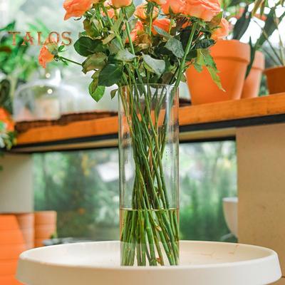 Vaso per fiori cilindrico trasparente, centrotavola per tavolo da pranzo per feste di matrimonio, portafiori idroponico, contenitore per piante trasparenti, decorazione