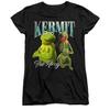 Womens/Ladies The Frog Kermit Homage Fitted Short-Sleeved T-Shirt