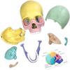 Modello Cranio Anatomico, Puzzle Cranio Anatomia Umana, Mini Modello Cranio Umano Smontabile, Insegnamento Clinico