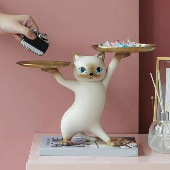 Tavă de depozitare utilă Manopera fină Rășină Aplicații late