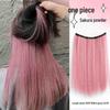 Women's One-Piece Hidden Hair Highlights Clips