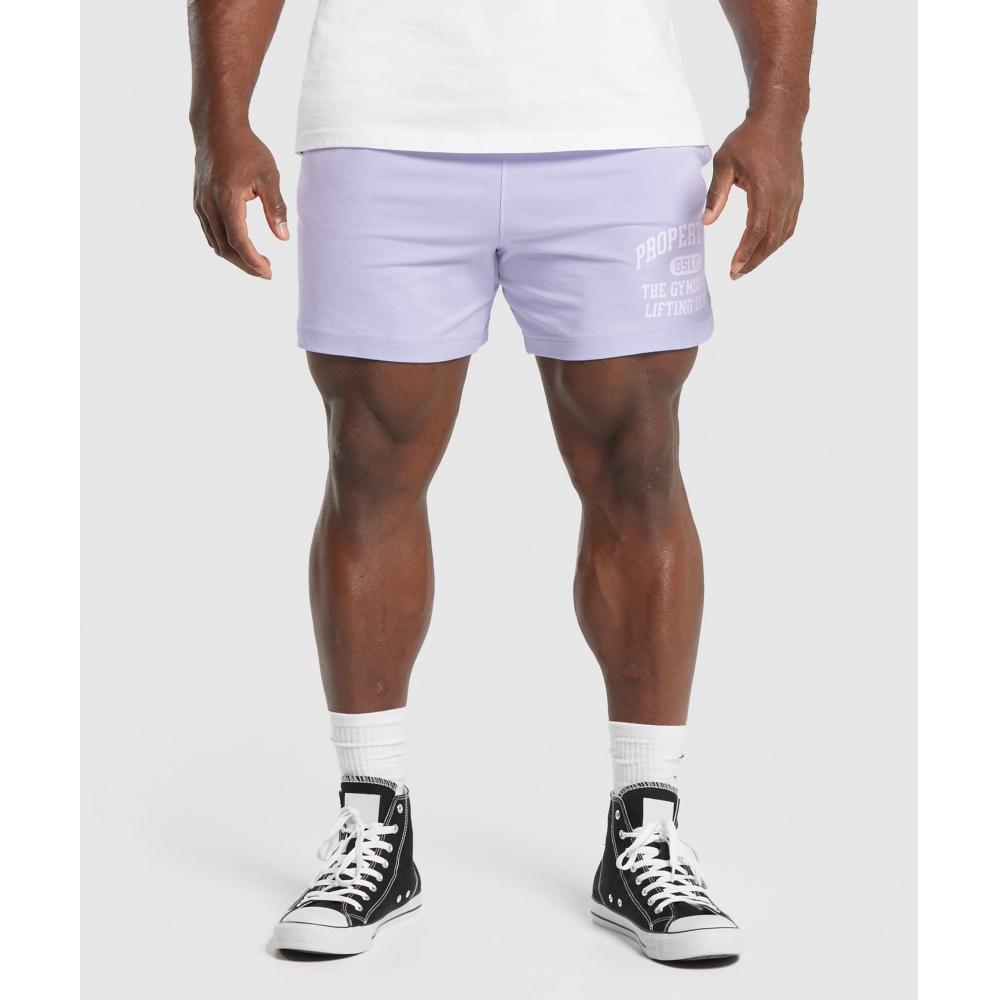 

GYMSHARK Легкие шорты из джерси серебристо-сиреневого цвета A5A6J PBVS S