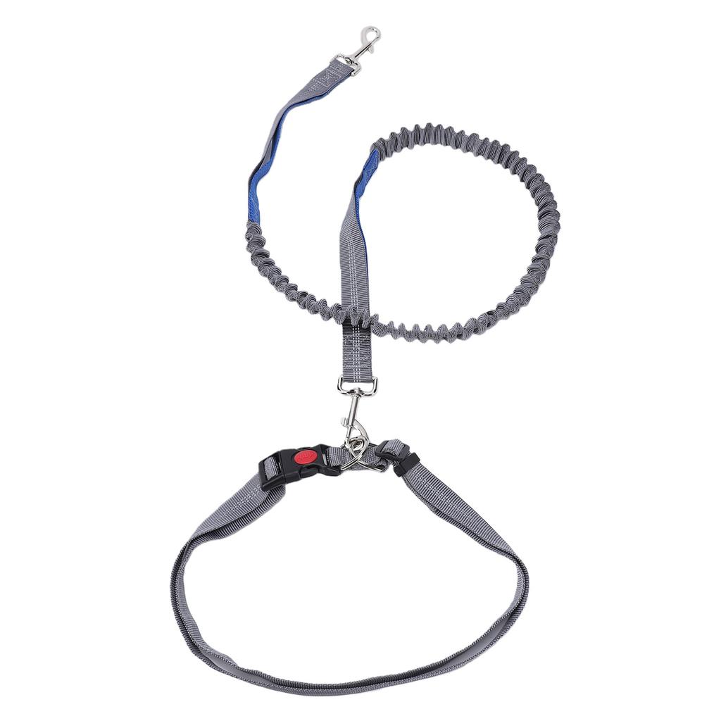 Dog Leash Multifunctional D Ring Reflective Strip Anti Pull Lock Buckle Nylon Dog Rope Leash for Walking