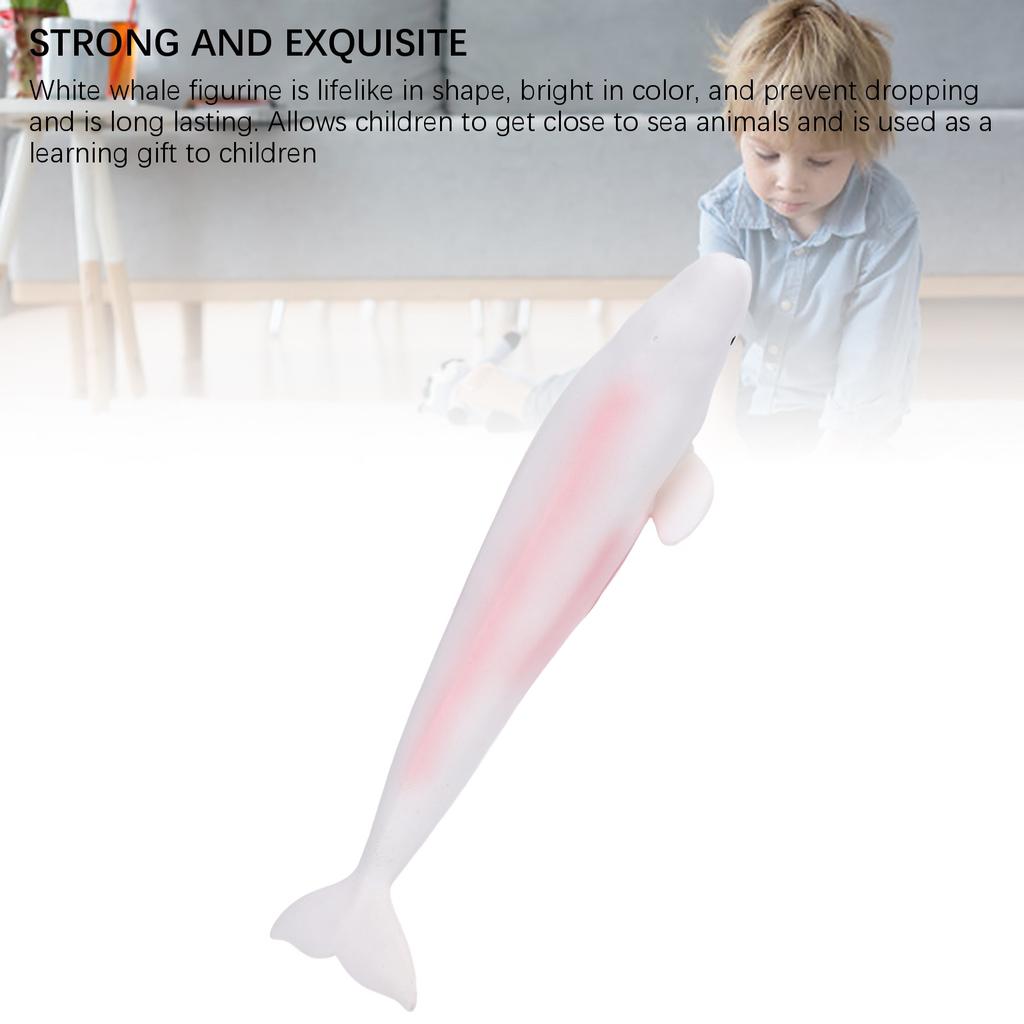 Model bílé velryby Simulační socha Zvíře z moře Figurka Hračka pro vzdělávání dětí L