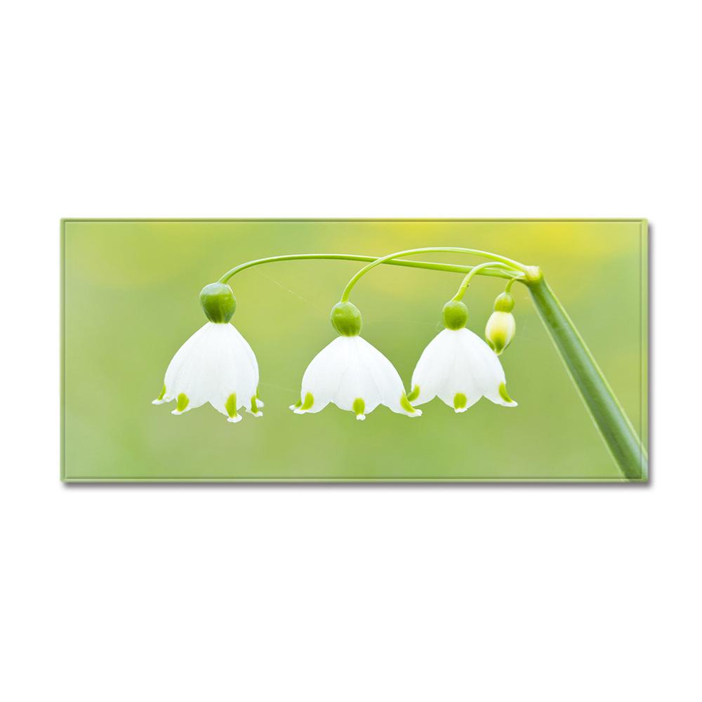 Fresh Entrance Door Mat Bathroom Absorbent Floor Mat Bedroom Living Room Bedside Blanket Carpet