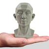 Still Life Ornament Planar Head Model Resin Skecthing Painting Sculpture  for Art Beginner