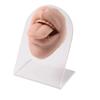 Leichtes Lippen- und Zungenmodell Silikon-Lippenpiercing-Displayständer Mädchen Frauen