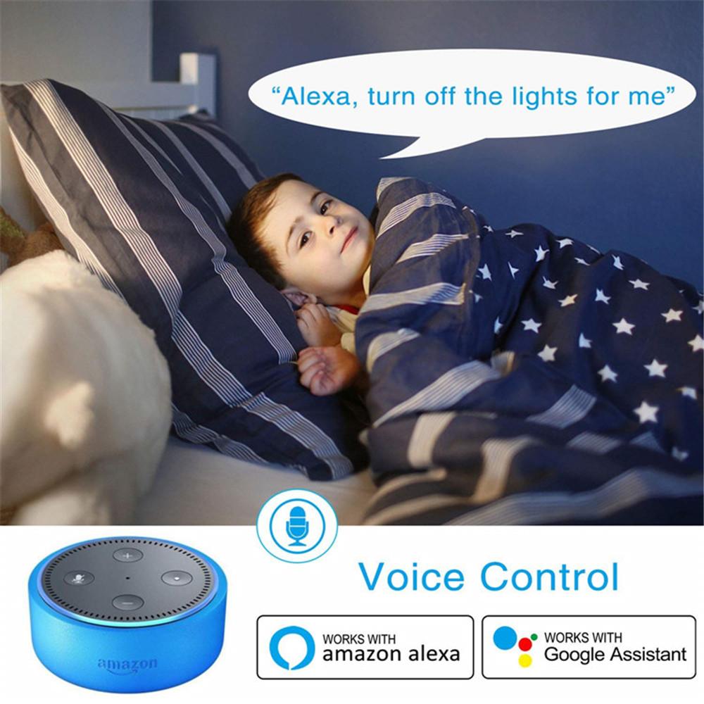 Alexa US Standard WiFi IP66 Rated PC 10A Touch Control Wall Light Button Switch Full House Coverage for Smart Home Device
