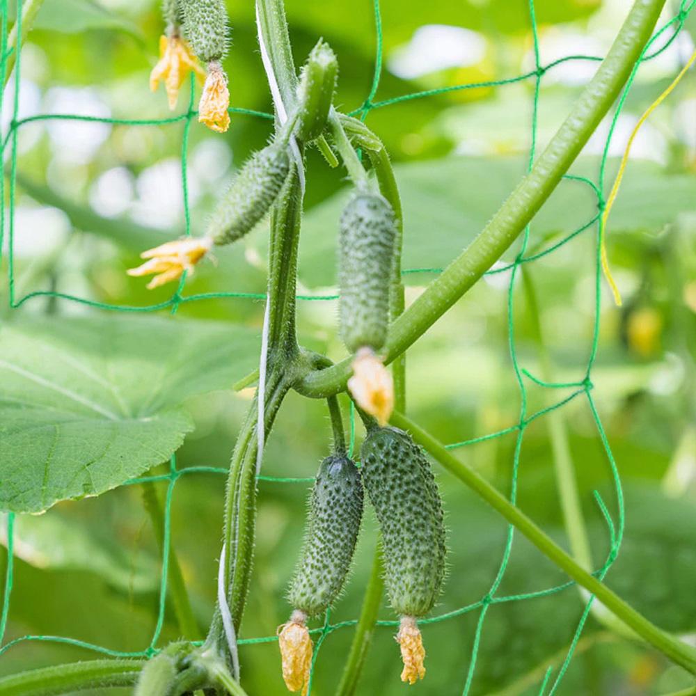 Planting Specialized Vine Nets For Fruits And Vegetables, Green Plant Supports, Vegetable Gardening Climbing Nets