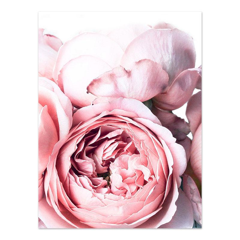 Flower Sheets for Paintings On The Wall Canvas Painting Decorative Pictures for Living Room with Frame Modern Decoration Table