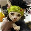 Pet Headgear,  Knitted Hat, Costume Props, Funny Handmade Wool Hat