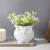 Decorațiuni pentru casă – Ghivece de flori decorative