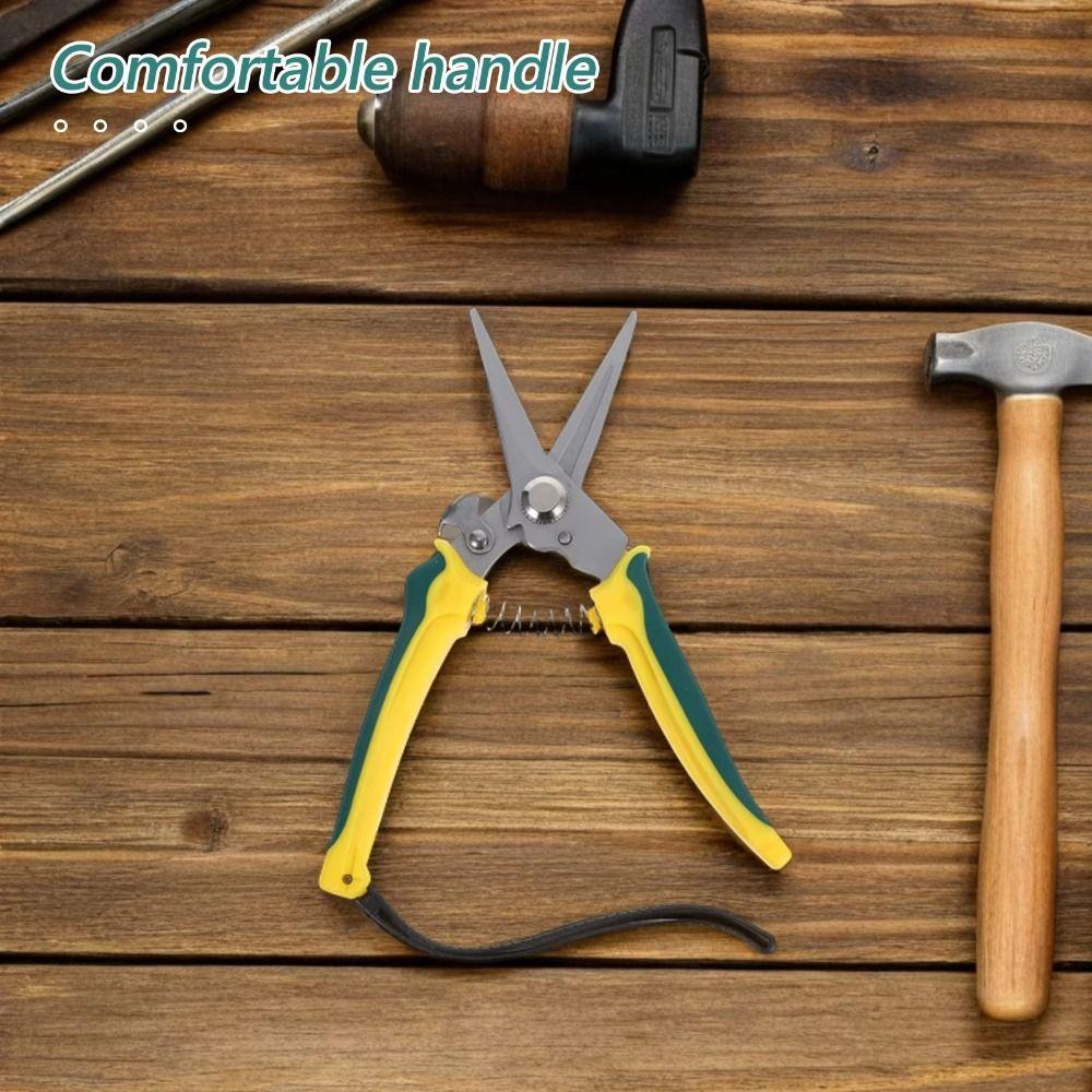 Stainless Steel Garden Pruner Safe Lock Tree Branch Trimmer Pruning Shears  Orchard Trimming