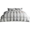 MUJI 100% White Goose Down Feather Duvet