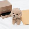 Stuffed Animals Key Holder 12cm Kids Toys Dog Keychain Dog Plush Toys Dog Key Rings Small Pendant