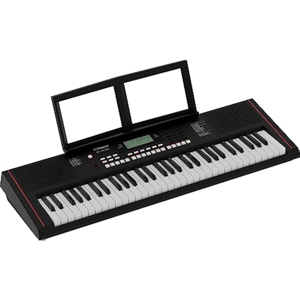 Roland Roland Electronic Keyboard, E-X10 Arranger Keyboard, Easy Operation, 61 Keys, Automatic Ac...