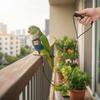 Adjustable Parrot Flying Clothes Escape-Proof Bird Training Gear Bird Walking Rope  Avian Training
