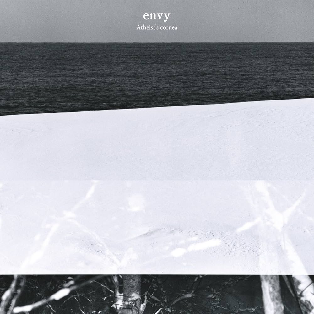 

LP Record ENVY Atheists Cornea TRR259 TEMPORARY RESI 2015 US Rock