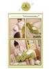 Creative Dragon Year Dinosaur Plush Pillow - Tyrannosaurus Rex Toy