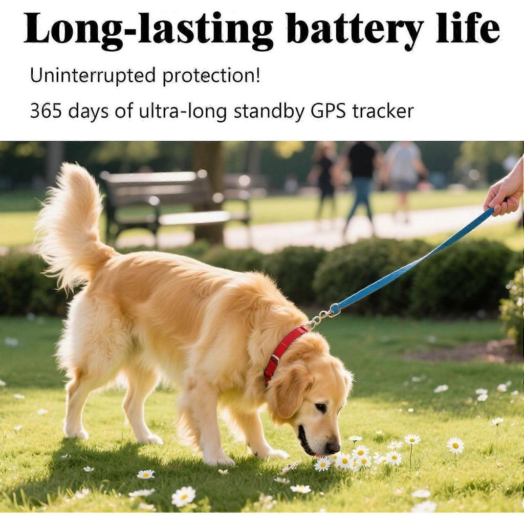 Localizzatore GPS per Cani Gatti Smart Pet GPS Tracker Mini Localizzatore Pet in Tempo Reale Impermeabile Leggero con Batteria da 1 Anno Cronologia Tracciamento| Android a
