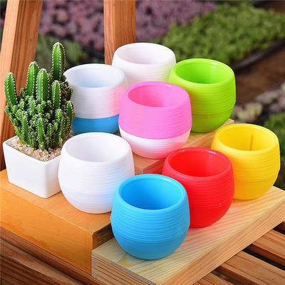 Mini Potted Plants Flower Pot For Home Office Decoration Colorful MIT