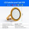 Outdoor 50W Explosion-Proof LED Floodlight