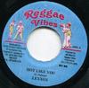 7inch Record LEXXUS / JAH MASON - Hot Like You / E-Mail RV88 Reggae Vibes 2003 Jamaica Reggae, Ska & Dub Used