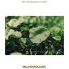 SKIN 1004 - Madagascar Centella Toning Toner JUMBO