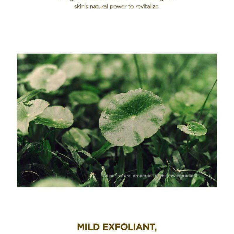SKIN 1004 - Madagascar Centella Toning Toner JUMBO