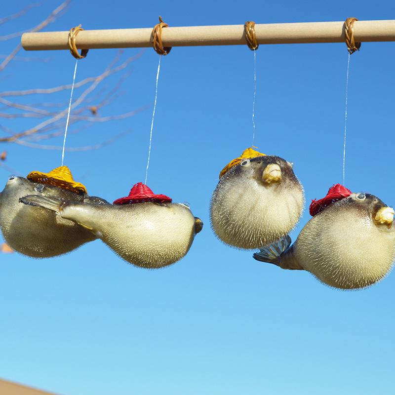 

Pufferfish Specimen Pendant - Blowfish Educational Aid & Unique Gift
