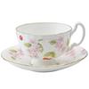 Aynsley Cherry Blossom Tea Cup and Saucer, Oban, 180ml, Cbpt05006c