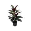 High-End Artificial Rubber Tree in Pot for Home, Living Room, or Garden Decor