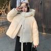 Waterproof Down Cotton Padded Jacket Hooded Short Women's Winter Clothes Korean Style Puffer Jacket Coat Outwear Female