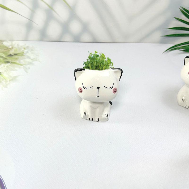 1 Stück Keramik-Blumentopf Mini Cartoon Katze Niedliche Pflanze Schreibtisch-Dekoration Topfpflanze Topf DIY Dekorieren Wissenschaftliche Bildung Schulgeschenke