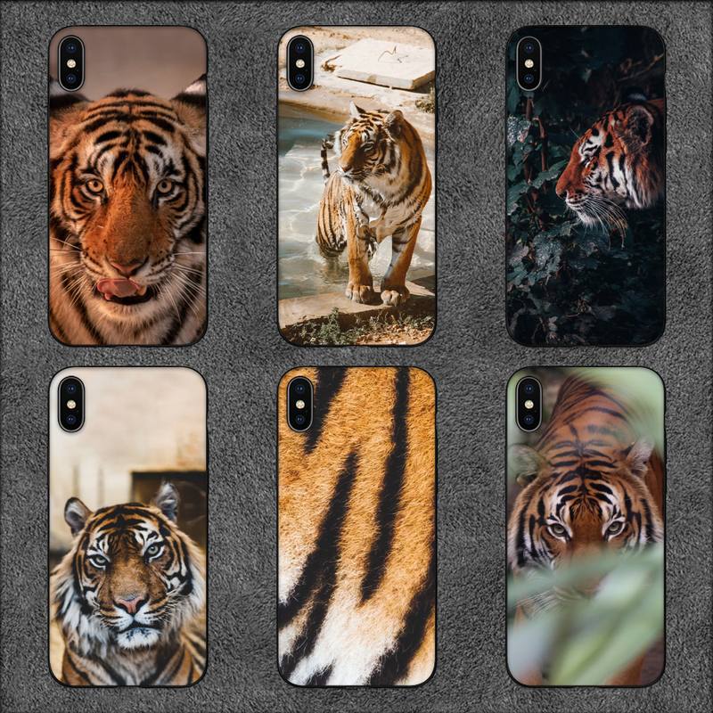 

Применимо к iPhone16 Чехол для мобильного телефона Новый чехол для пары животных Тигр Чехол для мобильного телефона iPhone13