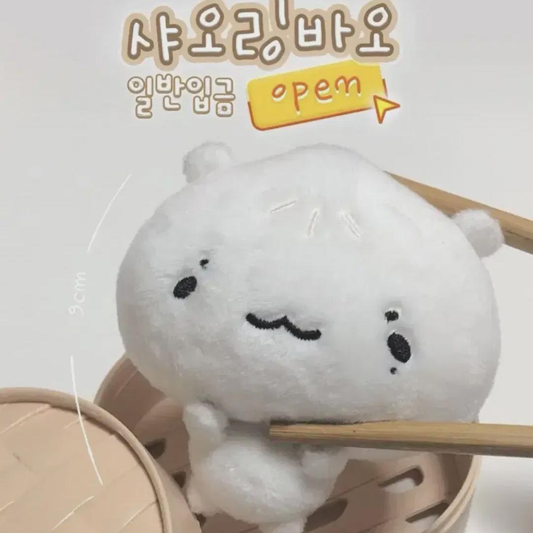 

Xiaolingbao Riwoo Boynextdoor Doll