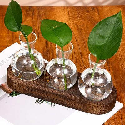 Modern Glass Plant  VaseTerrarium with Wooden Tray Desktop Plant Propagation Station Hydroponic Vase Home Decor Planter Lover