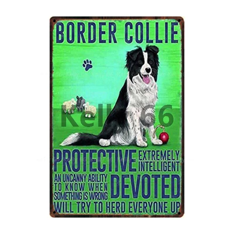 Kelly Pravidla pro psa Váš pes Varování Lepší život s border kolií Kovový nápis Domácí dekorace Bar Nástěnné umění Malba Velikost CM DG