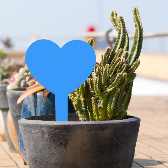 20 ks štítků na zahradní rostliny Kreativní tvar Živé barvy Opakovaně použitelné vodotěsné štítky na rostliny Venkovní zahradní štítky