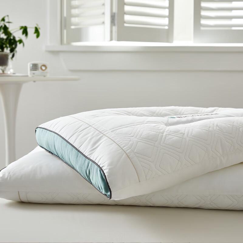 Woody Woodpecker Buckwheat Sleep Aid Pillow