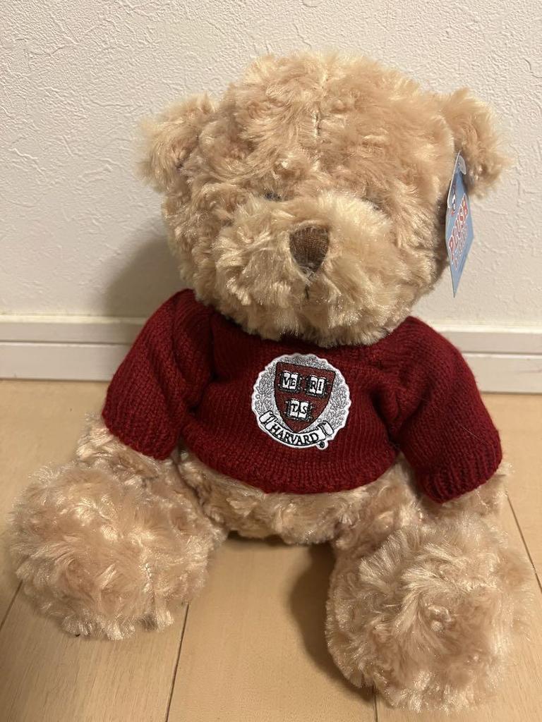 [USED] Harvard University Teddy Bear ()
