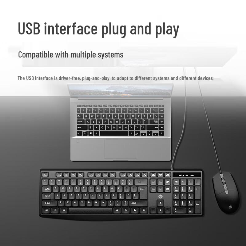 HP KM10L Wired Keyboard and Mouse Set