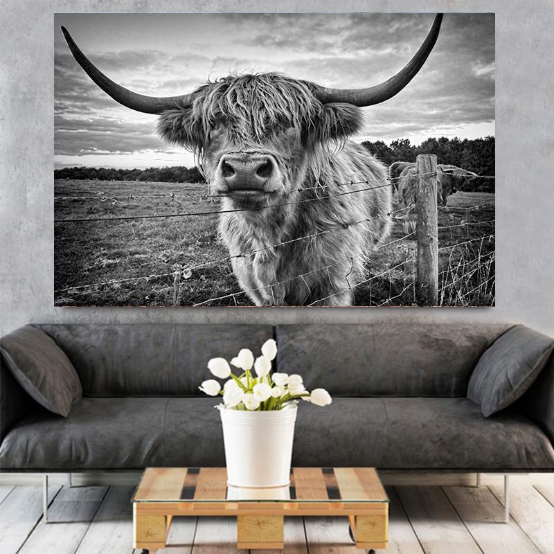 Amazing Portrait of Scottish Highland Cow Wall Pictures Canvas Painting Animal Posters Prints Living Room Home Decor