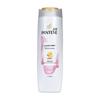 Pantene PRO-V Color & Perm Repair Shampoo